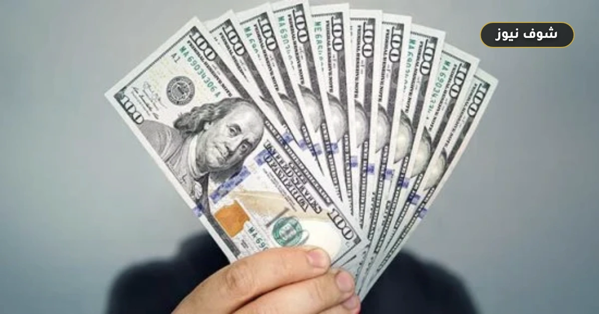 سعر الدولار في البنوك المصرية اليوم الأحد يسجل استقراراً تحت حاجز 51 جنيهاً