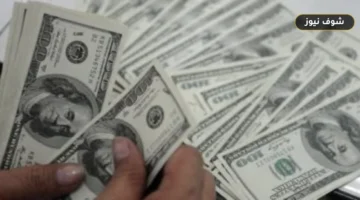 سعر الدولار في البنوك اليوم الجمعة ورصد فروق الأسعار بين المركزي والأهلي وCIB