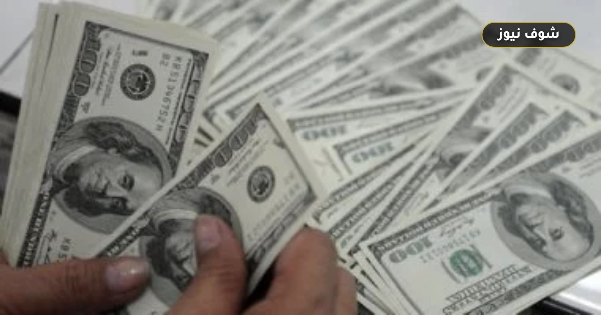 سعر الدولار في البنوك اليوم الجمعة ورصد فروق الأسعار بين المركزي والأهلي وCIB 5 سعر الدولار في البنوك اليوم الجمعة ورصد فروق الأسعار بين المركزي والأهلي وCIB