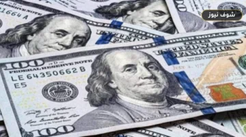 سعر الدولار في السوق الرسمية الآن: استقرار في البنوك المصرية بفارق 2.00 جنيه بين أعلى وأقل سعر