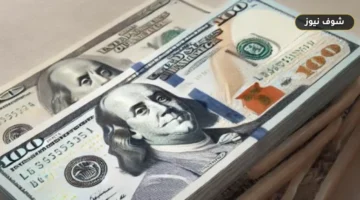سعر الدولار اليوم الأحد 13 سبتمبر 2026 في البنوك المصرية