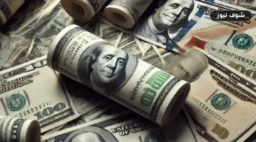 سعر الدولار اليوم الأحد 13 سبتمبر 2026 في البنوك المصرية