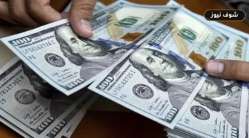 سعر الدولار اليوم الأربعاء مقابل سلة العملات قبيل قرار الفائدة الأمريكية