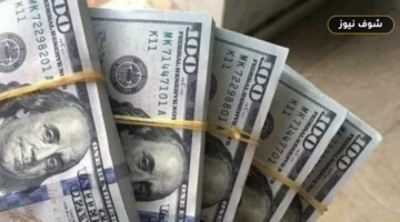 سعر الدولار اليوم في البنوك المصرية يستقر تحت 52 جنيهاً بفارق 15 قرشاً بين الأعلى والأقل