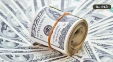 سعر الدولار اليوم في البنوك المصرية بفارق 28 قرشاً بين أعلى وأدنى شراء