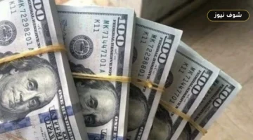 سعر الدولار اليوم الخميس 17 سبتمبر 2026 في البنوك المصرية