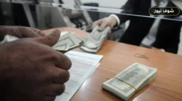 سعر الدولار اليوم السبت 19 سبتمبر 2026 في البنوك المصرية: مصرف أبو ظبي يسجل أعلى شراء