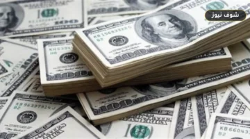 سعر الدولار اليوم السبت 19 سبتمبر 2026 في مصر: قائمة أقل وأعلى البنوك صرفاً