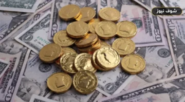 سعر الدولار اليوم في مصر: الفروق بين 6 بنوك والبنك المركزي