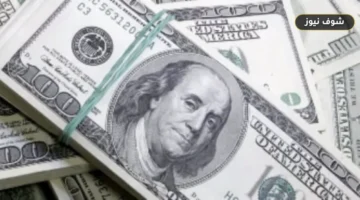 سعر الدولار اليوم في مصر: “كريدي أجريكول” يسجل الأعلى شراءً بـ 51.00 جنيهًا (8 سبتمبر 2026)