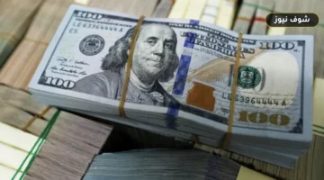 سعر الدولار اليوم في مصر يرتفع ويسجل أعلى قيمة شراء عند 51.75 جنيهاً