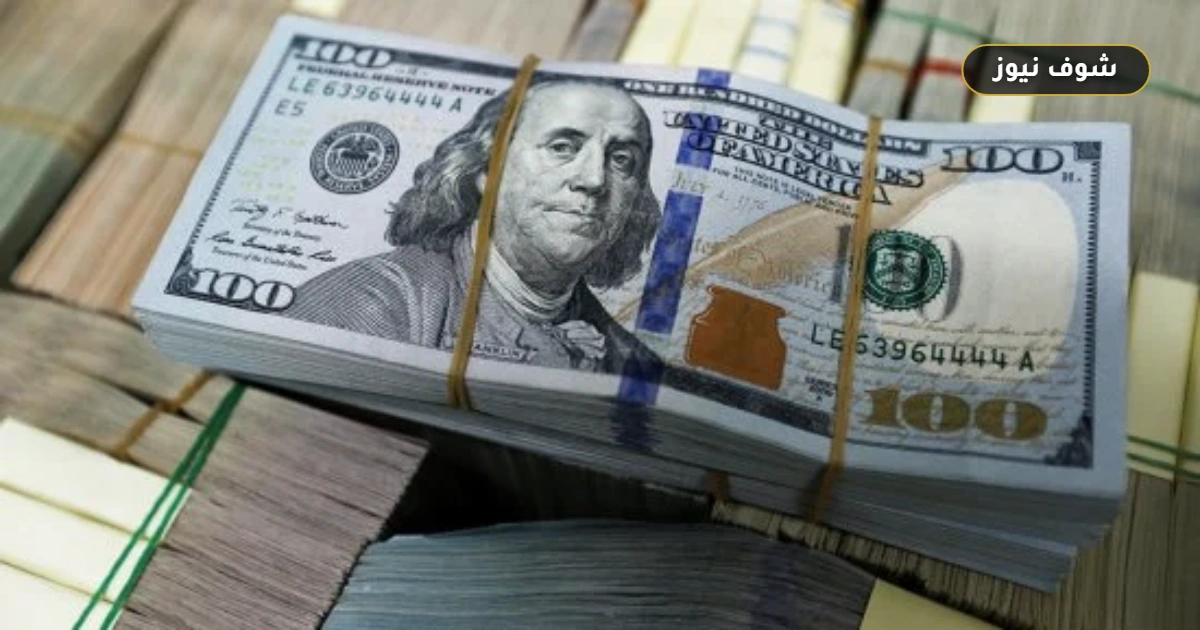سعر الدولار اليوم في مصر يرتفع ويسجل أعلى قيمة شراء عند 51.75 جنيهاً 5 سعر الدولار اليوم في مصر يرتفع ويسجل أعلى قيمة شراء عند 51.75 جنيهاً