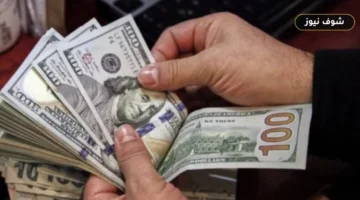 سعر الدولار مقابل الجنيه الأحد 13 سبتمبر 2026 في البنوك المصرية