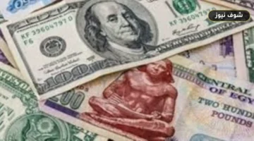 سعر الدولار مقابل الجنيه اليوم الأربعاء فى البنك المركزى وفارق البيع بالبنوك