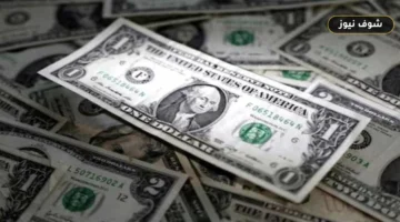 سعر الدولار مقابل الجنيه بختام تعاملات الأربعاء 16 سبتمبر 2026 مع صعوده 13 قرشاً