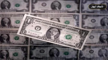 سعر الدولار مقابل الجنيه اليوم الأربعاء 2 سبتمبر 2026.. ارتفع في بنكين واستقر في 5 بنوك أخرى