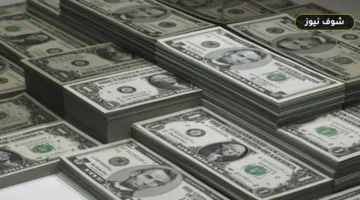 سعر الدولار مقابل الجنيه اليوم السبت 19 سبتمبر 2026 في البنوك المصرية