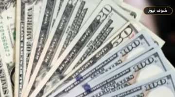 سعر الدولار مقابل الجنيه اليوم الأحد في البنوك: تفاصيل الشراء والبيع وفروق الأسعار