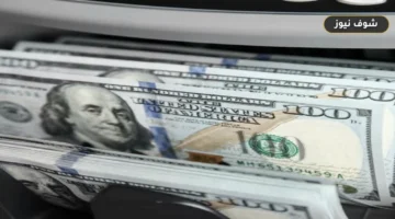سعر الدولار والعملات الأجنبية في مصر اليوم الجمعة 4 سبتمبر 2026