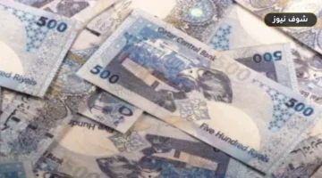 سعر الريال القطرى اليوم الأحد 13 سبتمبر 2026 فى البنوك الرئيسية: فجوة الشراء تسجل 1.04 جنيه