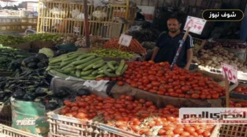 سعر الطماطم والبطاطس والفاكهة في أسواق الشرقية اليوم الأربعاء 16 سبتمبر 2026 بفارق الجملة والتجزئة