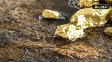 سعر مثقال الذهب اليوم في العراق وفارق 113,790 ديناراً بين عياري 24 و21