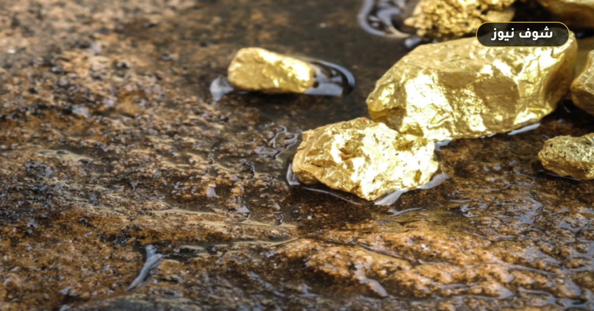 سعر مثقال الذهب اليوم في العراق وفارق 113,790 ديناراً بين عياري 24 و21 5 سعر مثقال الذهب اليوم في العراق وفارق 113,790 ديناراً بين عياري 24 و21