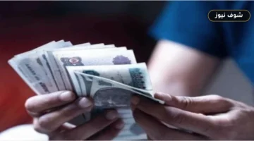 شهادة سند من بنك ناصر الاجتماعي 2026: تفاصيل العائد وحساب أرباح الـ100 ألف جنيه