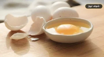سر هبوط الكيك المفاجئ.. كم ساعة يُسمح بترك البيض خارج الثلاجة وفقاً لـ USDA؟