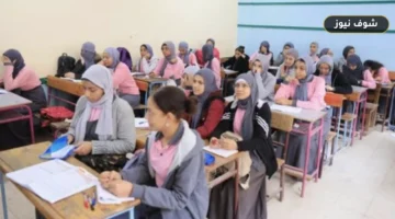 تأمين طلاب المدارس في مصر: تحليل قيمة التعويض الإجبارية 30 ألف جنيه