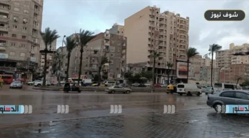 تبدأ بـ 3 مناطق وتتمدد.. «الأرصاد» تحذر من أمطار رعدية وشبورة مائية مدتها 4 ساعات يومياً