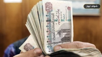 تبدأ 24 سبتمبر.. تفاصيل صرف مرتبات سبتمبر 2026 بالزيادات الجديدة لـ 5.4 مليون موظف
