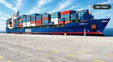 تداول 19 ألف طن و736 شاحنة بضائع في موانئ البحر الأحمر | الواردات تقود النشاط بفارق 4 آلاف طن