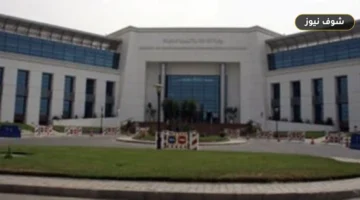 تدريبات قدوة تك المجانية: مسارات الذكاء الاصطناعي وتطوير الأعمال لرواد الأعمال المصريين