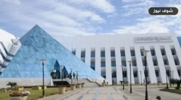 تفعيل خطوط وي بالتحقق الإلكتروني E-KYC: إلغاء المعاملات الورقية للأفراد فورياً