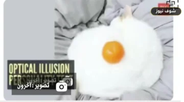 تحليل الشخصية عبر الاختبار البصري: دلالات رؤية البرتقالة أو القطة أو البيض