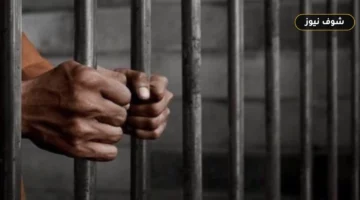 «طلب النيابة العامة وسقف الـ6 أشهر».. شروط بديل الحبس بالعمل العام في قانون الإجراءات الجنائية الجديد قبل تطبيقه بأكتوبر 2026