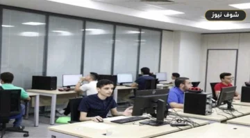 تنسيق الدبلومات الفنية 2026: موعد الإغلاق الحاسم وفروق الحدود الدنيا بين 60% و75%