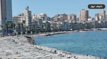 طقس السبت 19 سبتمبر: درجات الحرارة وفرص أمطار خفيفة على السواحل وشمال الوجه البحري