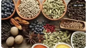 طرق حفظ التوابل لأطول فترة: معايير التخزين وتجنب التلف
