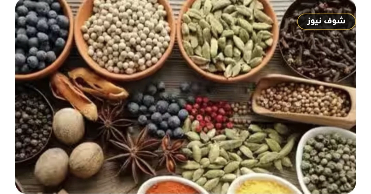 طرق حفظ التوابل لأطول فترة: معايير التخزين وتجنب التلف 5 طرق حفظ التوابل لأطول فترة: معايير التخزين وتجنب التلف