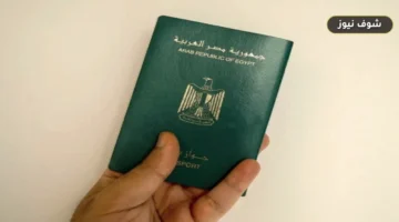 ترتيب جواز السفر المصري: قائمة الـ 52 دولة التي يدخلها المصريون دون تأشيرة مسبقة والشروط المطلوبة