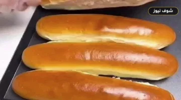 طريقة عمل عيش الفينو في المنزل بـ 2 كيلو دقيق لتوفير نفقات المدارس
