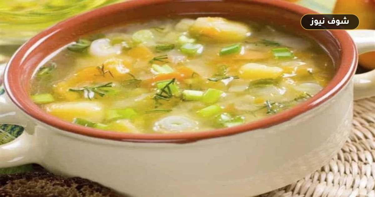 طريقة عمل شوربة الخضار في المنزل بخطوات سهلة ومكونات اقتصادية 5 طريقة عمل شوربة الخضار في المنزل بخطوات سهلة ومكونات اقتصادية