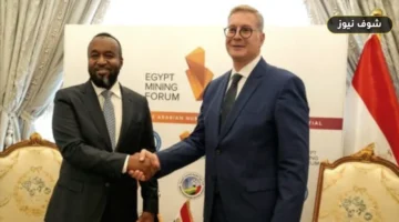 «توطين الصناعات التعدينية في إفريقيا».. وزير البترول يبحث مع كينيا وتنزانيا تصنيع الفوسفات وخام الصودا آش