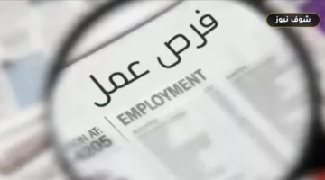 وظائف وزارة العمل 2026: تفاصيل 150 فرصة في مسطرد برواتب حتى 13 ألف جنيه وطريقة التقديم