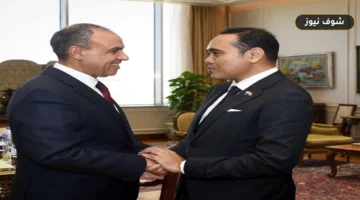 وزير الخارجية يبحث مع وزير الدولة السنغافوري دفع العلاقات الثنائية | 60 عاماً من الدبلوماسية المشتركة