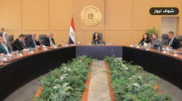 وزيرة التضامن تقر الهيكل والموازنة | 6 قرارات تنظيمية لصندوق قادرون باختلاف حتى 2027