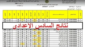 بالرقم الامتحاني والاسم الرباعي.. خطوات استعلام نتائج السادس الإعدادي 2026 الدور الثاني عبر موقع وزارة التربية العراقية