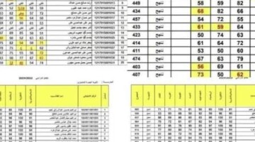 «دون مراجعة المدارس».. رابط استعلام نتائج الثالث متوسط 2026 الدور الثاني عبر منصة نتائجنا